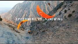 Speedwing VS Miniwing Flight