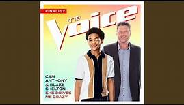 She Drives Me Crazy (The Voice Performance)