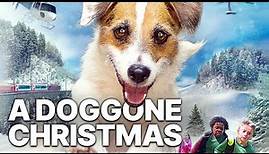 A Doggone Christmas | Free Christmas Movie | Romance | Feature Film
