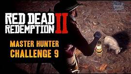 Red Dead Redemption 2 Master Hunter Challenge #9 Guide - Kill an Opossum playing possum