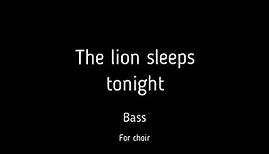 Choir/chór The lion sleeps tonight - Bass + score