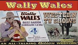 Arizona Cyclone (1937) | Full Movie | Wally Wales | Hal Taliaferro | Silver King the Horse