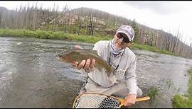 Fly Fishing the Rio Grande River Colorado