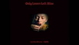 Only Lovers Left Alive OST - 02 Funnel of Love (Madeline Follin)