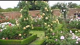 Der Rosengarten von David Austin