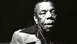 Champion Jack Dupree - Blues From 1921
