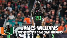 James Williams 2023 Regular Season Highlights | Miami DB