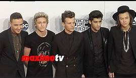 One Direction 2014 American Music Awards Red Carpet