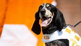 Happy birthday, Smokey! The University of Tennessee mascot is 68 years old.