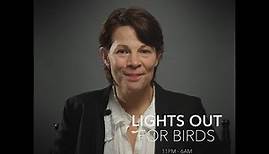 Lili Taylor - Lights Out for Birds