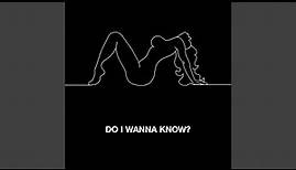 Do I Wanna Know?