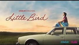 Little Bird Trailer