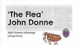 20. The Flea analysis, John Donne (A-level comedy, AQA)