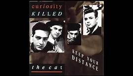 Curiosity Killed the Cat - Down to Earth