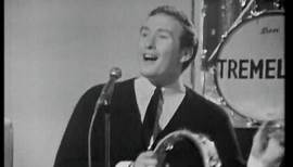 Brian Poole & The Tremeloes - The Uncle Willie (1965)