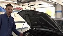 Friendly Honda 19 Point Inspection- We Make Servicing ...