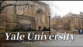 Yale University campus walking tour, Exploring Yale University and New Haven, Connecticut.