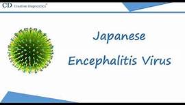 Japanese Encephalitis Virus