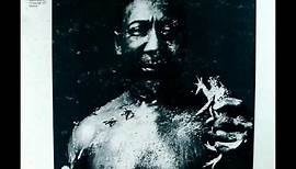 Muddy Waters - I Am The Blues