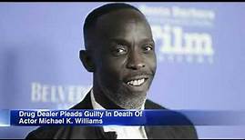 Drug dealer pleads guilty in death of actor Michael K. Williams