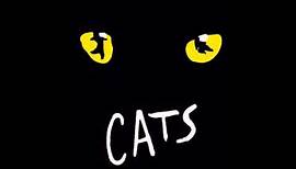 Cats: 1- Overture