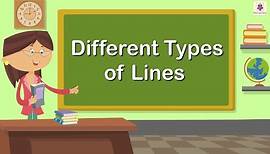Different Types of Lines | Mathematics Grade 1 | Periwinkle