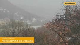 Hochwasser in Heidelberg | wetter.com HD Live Webcam
