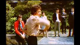 The Hollies: Everything Is Sunshine Video