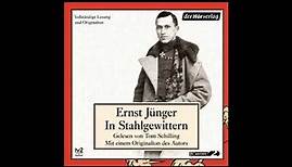 Ernst Jünger - In Stahlgewittern (Hörbuch) Teil 2