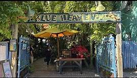 Eating at Blue Heaven Restaurant in Key West, Florida | Best Tomato Ever & Huge Key Lime Pie