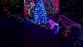 The Collingwood Lights!