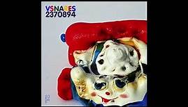 Venetian Snares - 2370894 (Full Album)