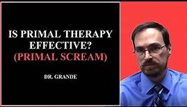 Is Primal Therapy Effective?