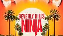 Beverly Hills Ninja streaming: where to watch online?