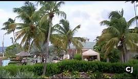 Nevis: the Caribbean's Greenest Island