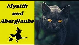 Die schwarze Katze - Verehrt und Verfolgt