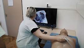 Ultraschall, Anatomie - Universität Szeged, Albert Szent-Györgyi Medizinische Fakultät