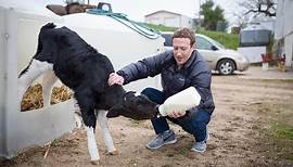 Life of 33-year-old Mark Zuckerberg — the fifth richest person on earth