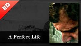 "A Perfect Life" (2011) HD #fullmovie