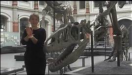 Guided Tours: Dinosaurier im Museum für Naturkunde Berlin