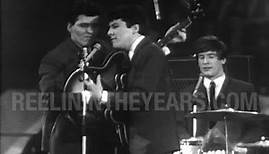 The Searchers • "Farmer John/Don't Throw Your Love Away/What'd I Say" LIVE 1964 [RITY Archive]