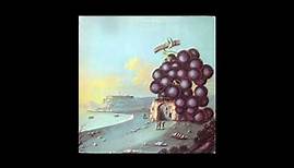 Moby Grape – Wow - Full Album (Vinyl)