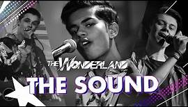 The Wonderland | The Sound (Cover) | Official Video