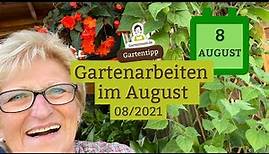 Gartenarbeiten August - Was ist im August im Garten zu tun und zu beachten? | Gartenjahr 2021