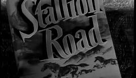 Stallion Road (1947) title sequence