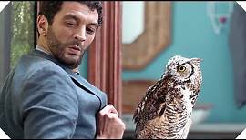 HIBOU Bande Annonce (Ramzy - Comédie, 2016)