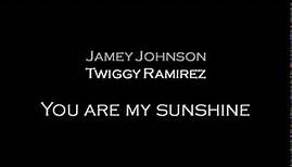 You are my sunshine-Jamey Johnson, Twiggy Ramirez & Shooter Jennings (lyrics)