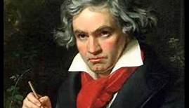 Beethoven, Symphony 9, 1st movement Allegro ma non troppo