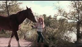A Horse Story Ganzer Film auf Deutsch