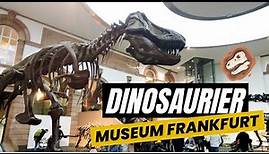 Museum Dinosaurier Frankfurt